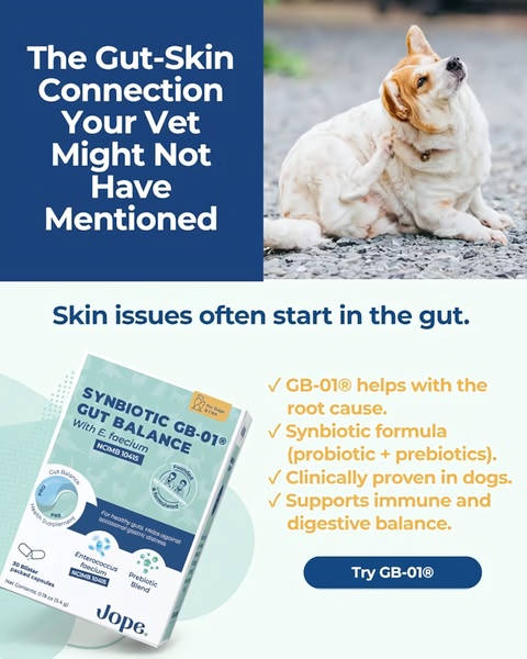 An educational ad creative for a pet probiotic supplement, using a problem-aware hook about the gut-skin connection to drive conversions.
